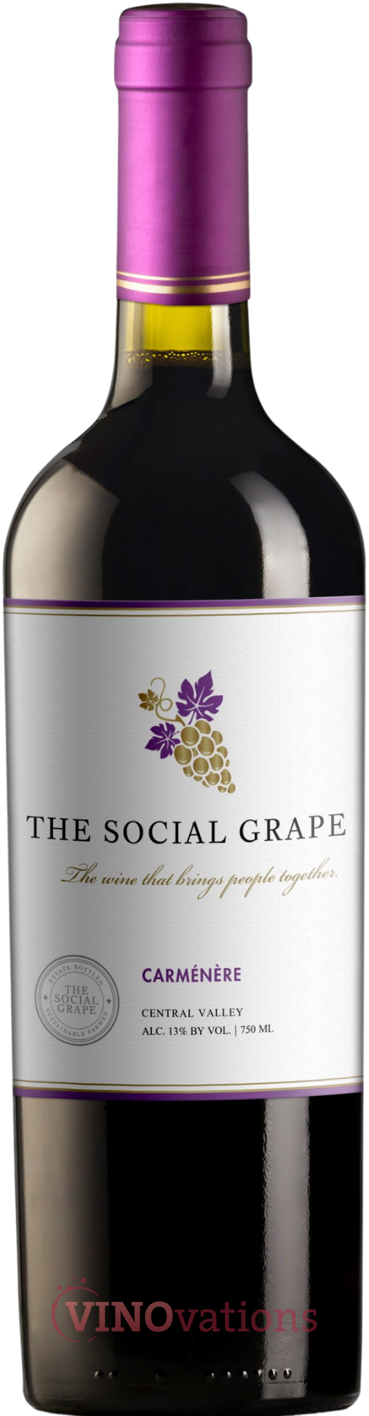 Social Grape Carmenere Central Valley 2019